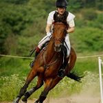 Htb mxeyncrqk rjszk q xyypxak